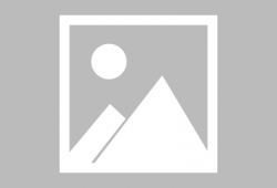 91直播不可以吃兔兔,为何不能吃兔兔？