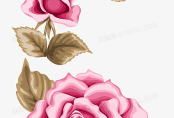 玫瑰动漫,绽放青春，描绘梦想的动漫世界