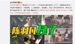 各种吃瓜爆料视频大全集,揭秘娱乐圈幕后真相