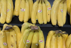 国产精品香蕉,甜蜜滋味，健康之选