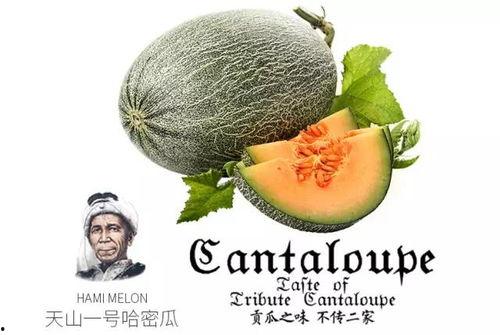 娱乐吃瓜群众1号,娱乐圈幕后那些事儿